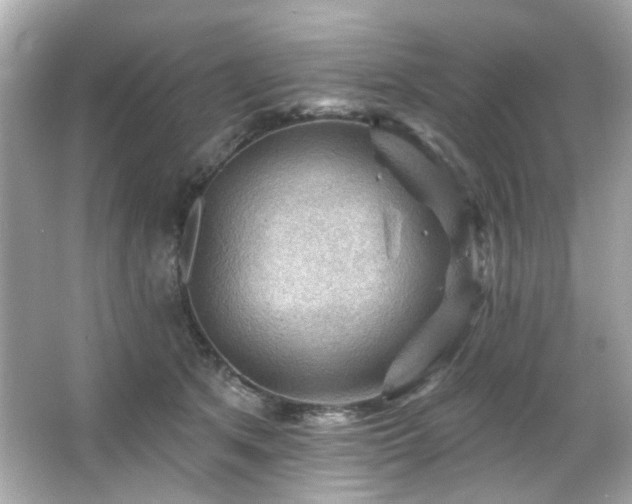 X0000066090513200603101209