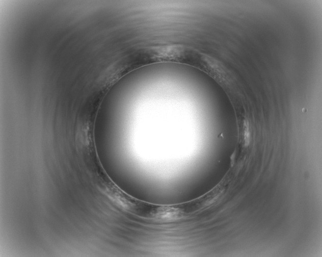 X0000066090514200603101209