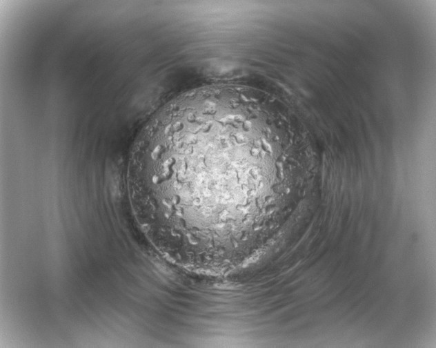 X0000066090515200603101209