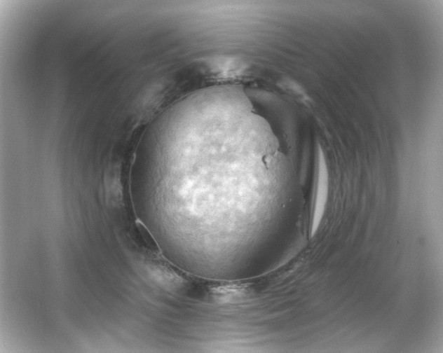 X0000066090516200603101209