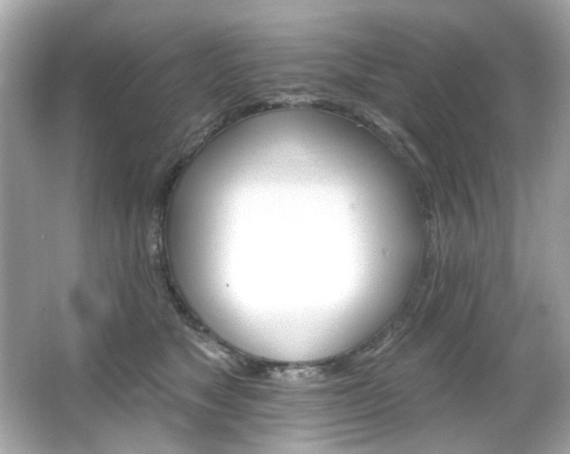 X0000066090517200603101209