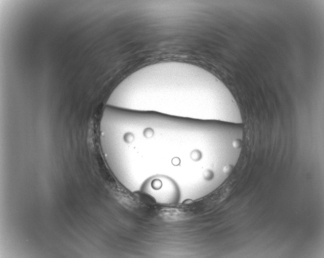 X0000066090519200603101209