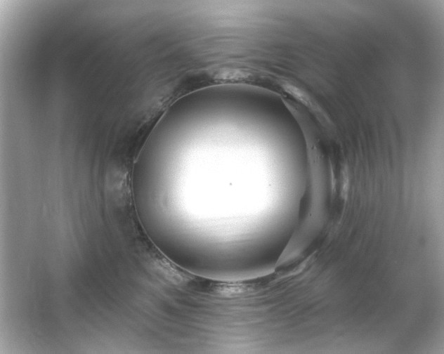 X0000066090521200603101209