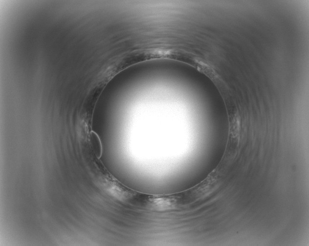 X0000066090522200603101209