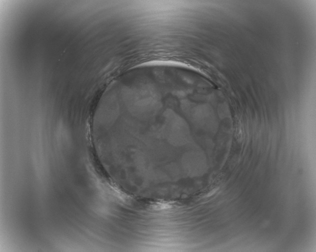 X0000066090523200603101209