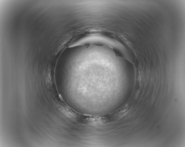 X0000066090524200603101209