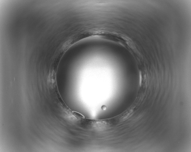 X0000066090525200603101209