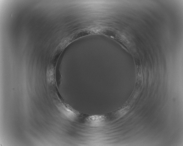 X0000066090526200603101209