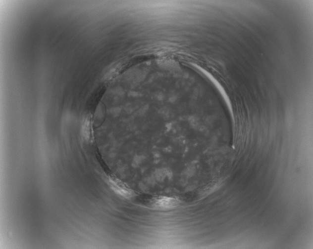 X0000066090527200603101209