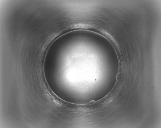 X0000066090529200603101208