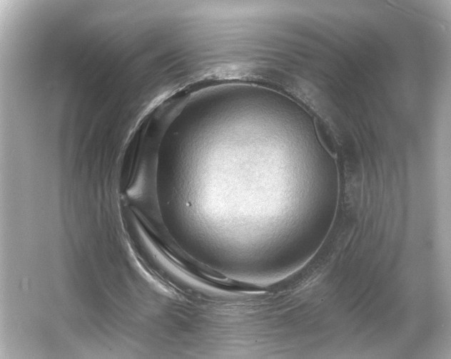 X0000066090530200603101208