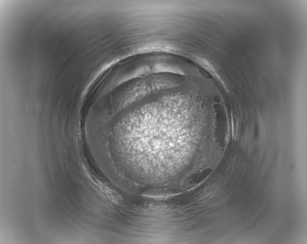 X0000066090531200603101208