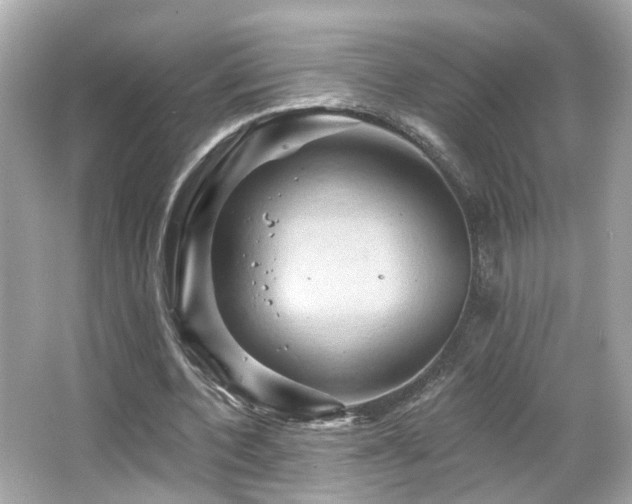 X0000066090532200603101208