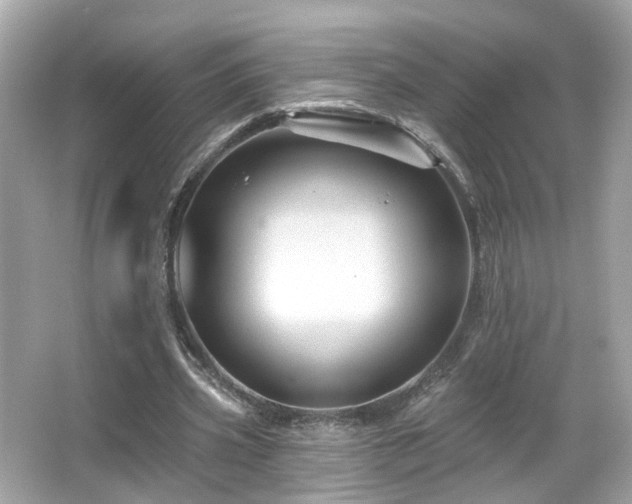 X0000066090533200603101208