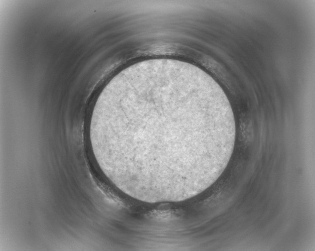 X0000066090534200603101208