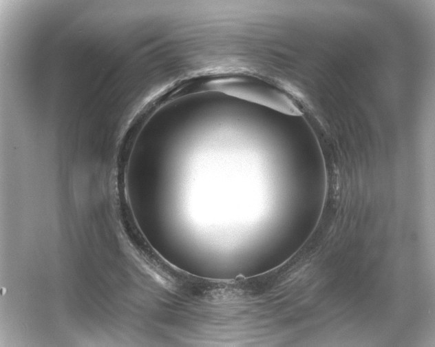 X0000066090535200603101208