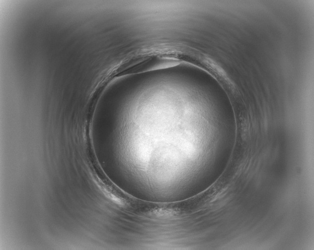 X0000066090537200603101208