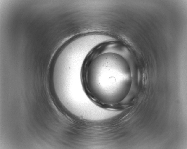 X0000066090540200603101208