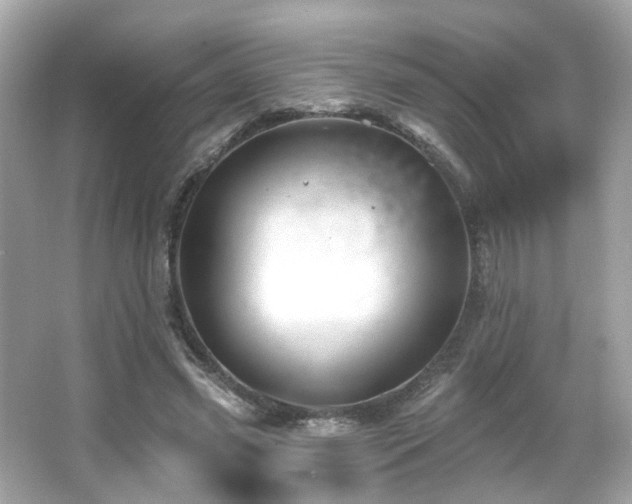 X0000066090541200603101208