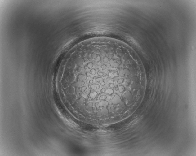 X0000066090542200603101208