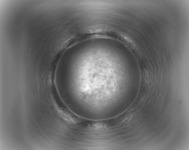 X0000066090546200603101209