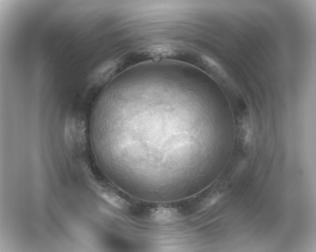 X0000066090549200603101209