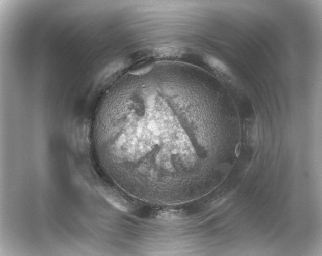 X0000066090550200603101209