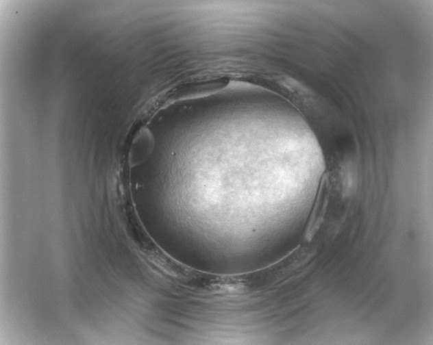 X0000066090552200603101209