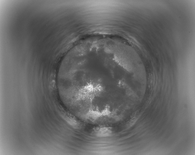 X0000066090553200603101209