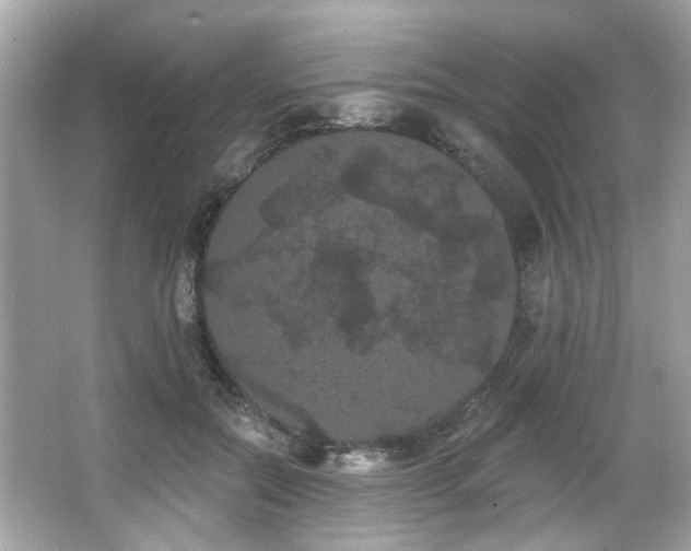 X0000066090554200603101209