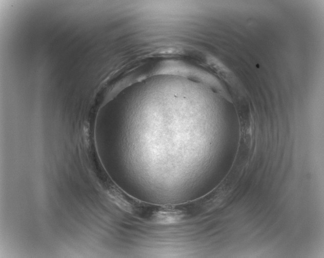 X0000066090556200603101209