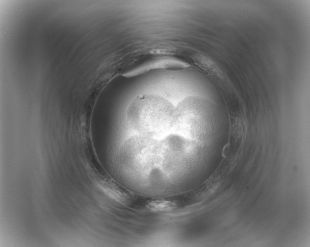 X0000066090557200603101209