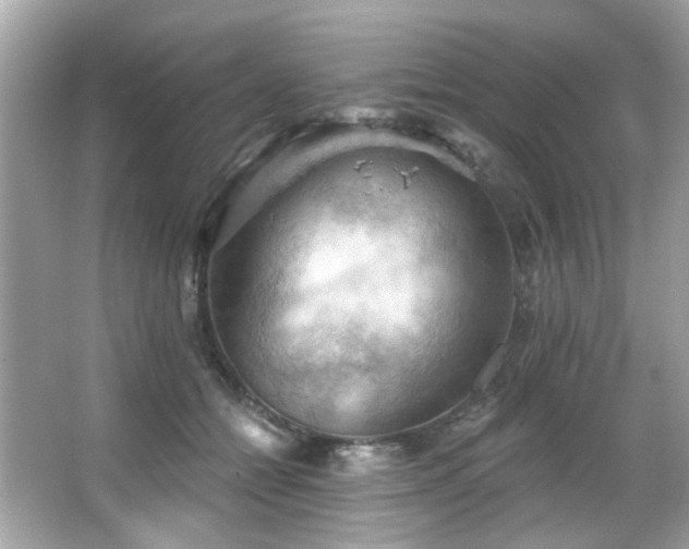 X0000066090558200603101209