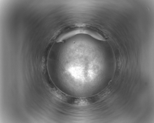 X0000066090559200603101209