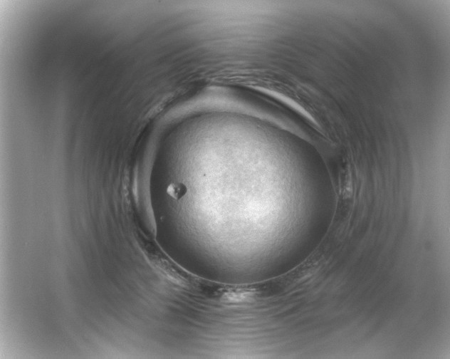 X0000066090560200603101209