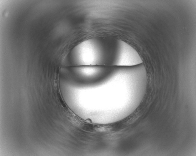 X0000066090561200603101209