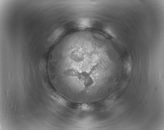 X0000066090565200603101209