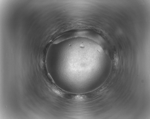 X0000066090566200603101209