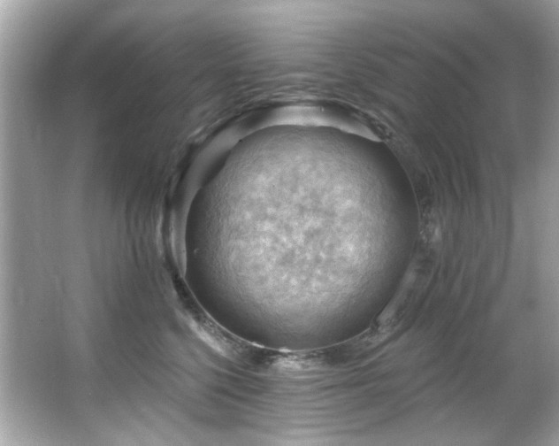 X0000066090568200603101209