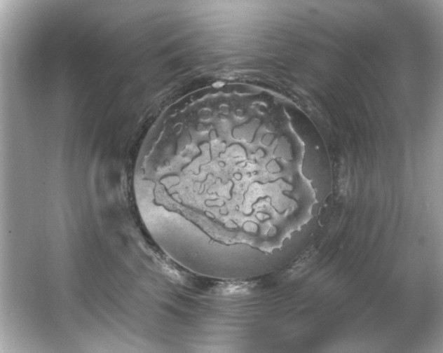 X0000066090569200603101209