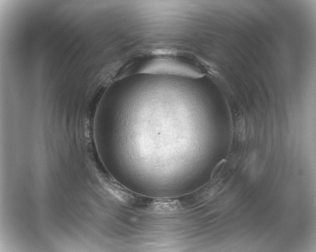 X0000066090571200603101209