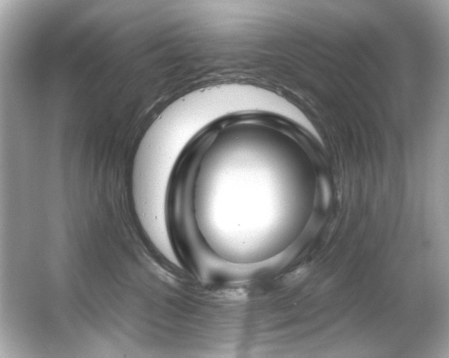 X0000066090572200603101209