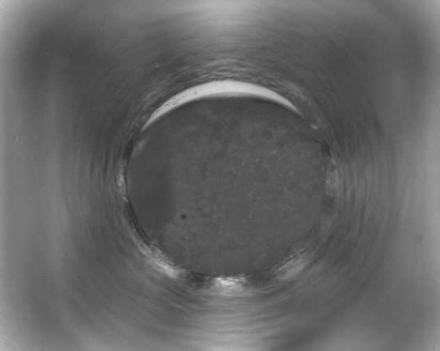 X0000066090573200603101209