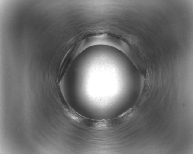 X0000066090574200603101209