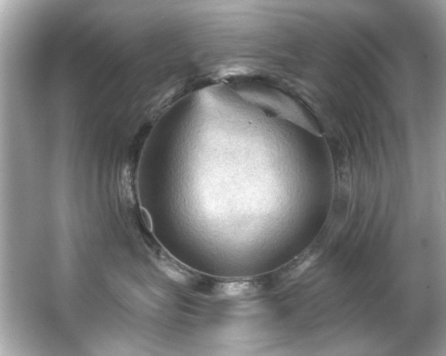 X0000066090575200603101209