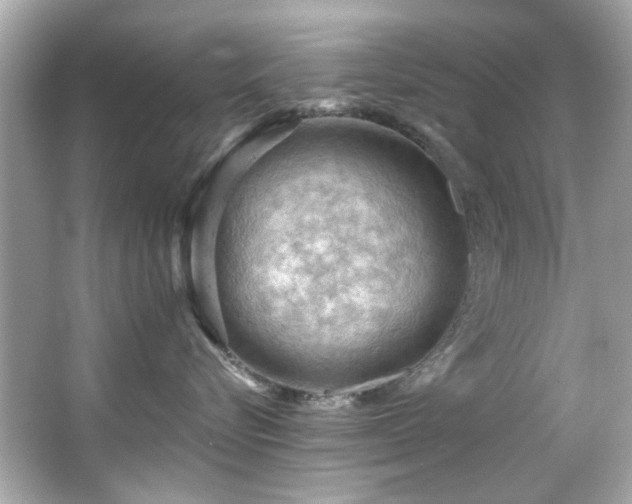 X0000066090576200603101209