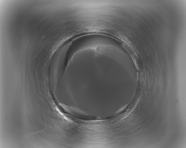 X0000066090577200603101208