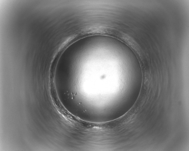 X0000066090578200603101208