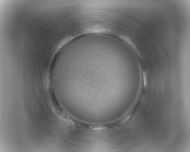 X0000066090579200603101208