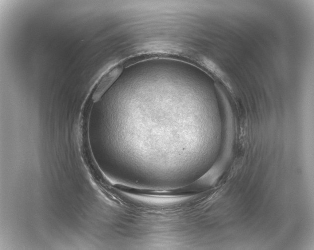 X0000066090580200603101208